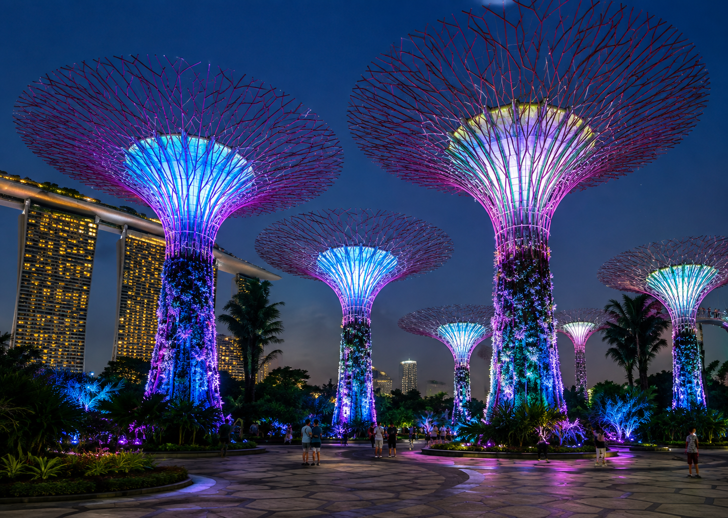 Gardens by the Bay Supertrees lit up at night